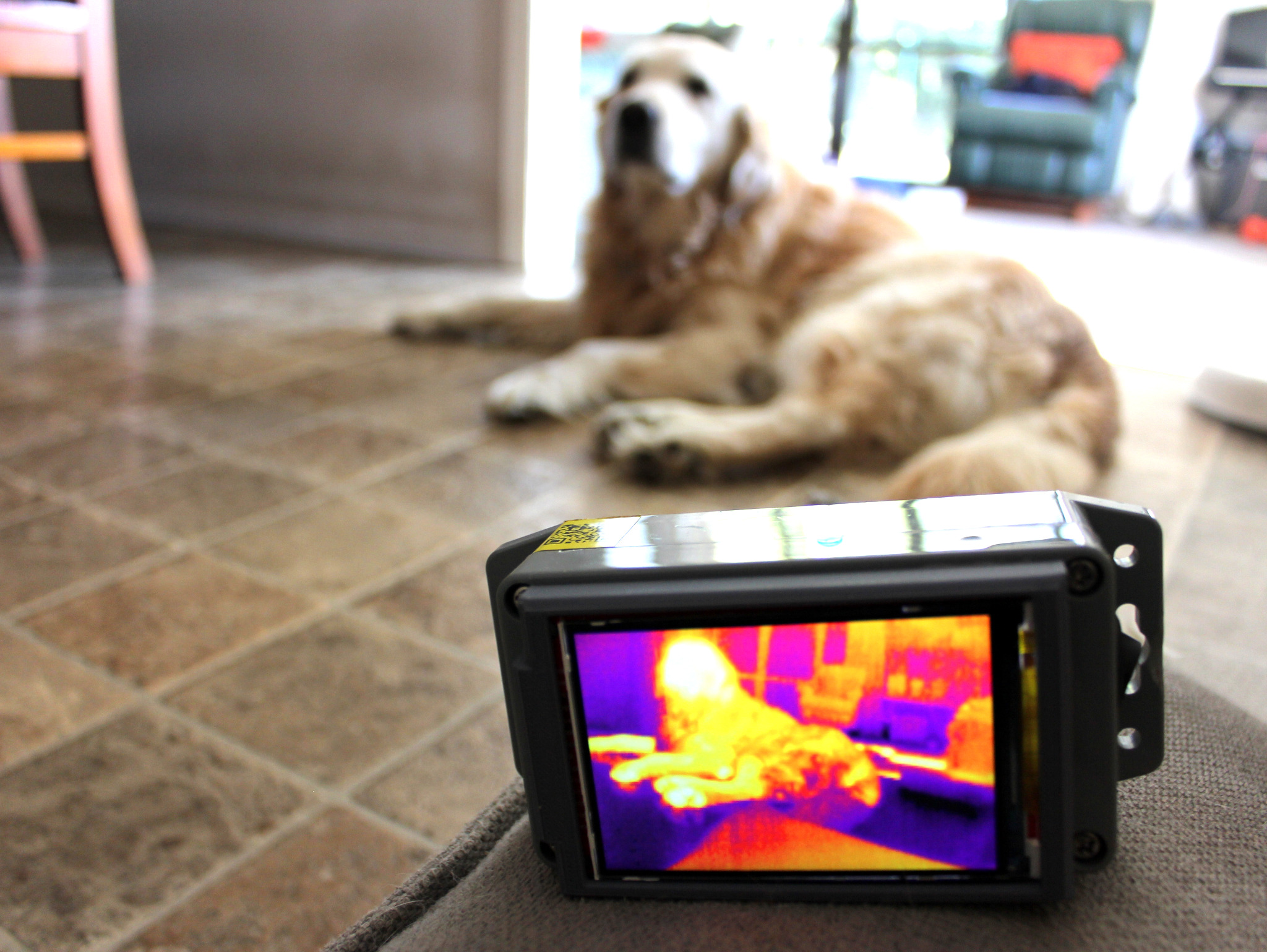 Thermal imaging system being used in a real indoor environment.